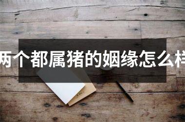 两个都属猪的姻缘怎么样