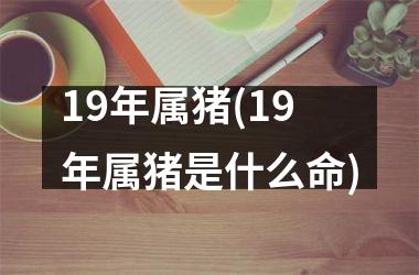 19年属猪(19年属猪是什么命)