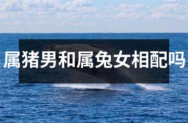 属猪男和属兔女相配吗