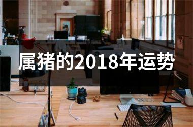 属猪的2018年运势