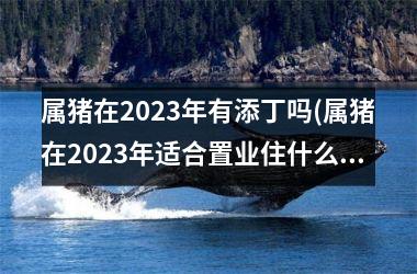 属猪在2025年有添丁吗(属猪在2025年适合置业住什么楼吗)