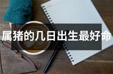 属猪的几日出生最好命