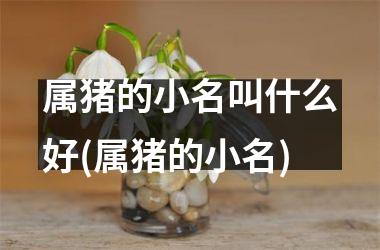 <h3>属猪的小名叫什么好(属猪的小名)
