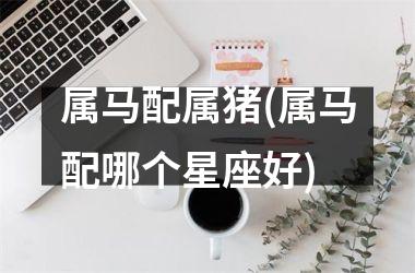 属马配属猪(属马配哪个星座好)
