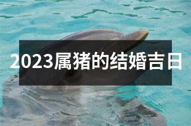 2025属猪的结婚吉日