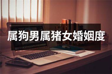 属狗男属猪女婚姻度