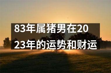 83年属猪男在2023年的运势和财运