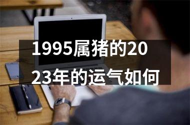 1995属猪的2025年的运气如何
