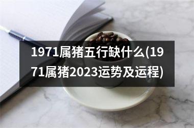 1971属猪五行缺什么(1971属猪2025运势及运程)