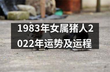 1983年女属猪人2022年运势及运程