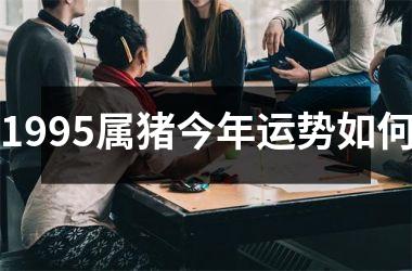 1995属猪今年运势如何