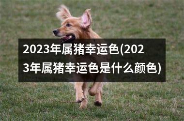2025年属猪幸运色(2025年属猪幸运色是什么颜色)
