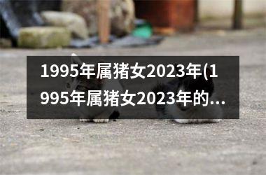 1995年属猪女2025年(1995年属猪女2025年的运势和婚姻)