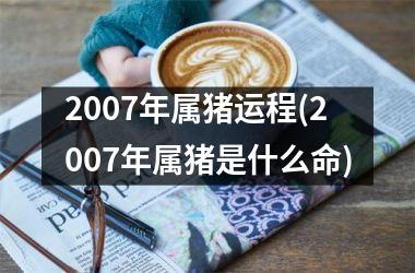 2007年属猪运程(2007年属猪是什么命)