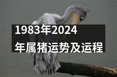 1983年2024年属猪运势及运程