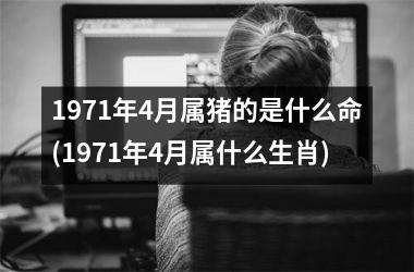 1971年4月属猪的是什么命(1971年4月属什么生肖)