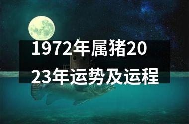 1972年属猪2025年运势及运程