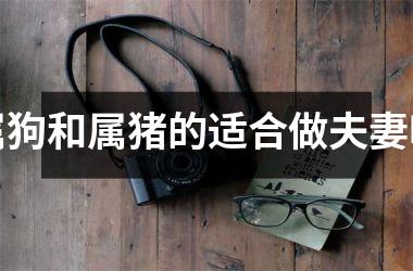 属狗和属猪的适合做夫妻吗