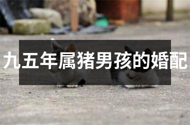 九五年属猪男孩的婚配