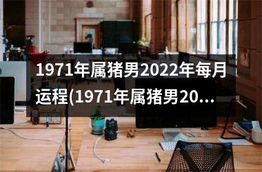 1971年属猪男2025年每月运程(1971年属猪男2025年运势及运程每月运程)