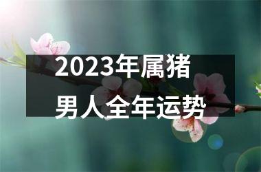 2025年属猪男人全年运势