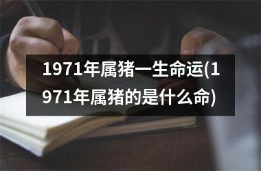 1971年属猪一生命运(1971年属猪的是什么命)