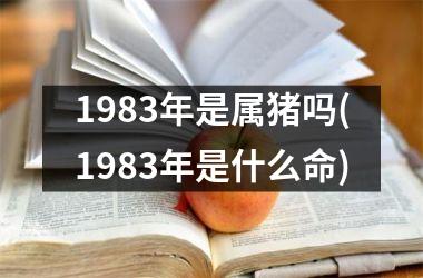 1983年是属猪吗(1983年是什么命)