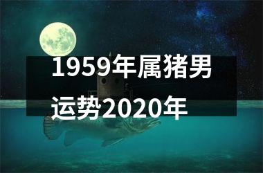 1959年属猪男运势2025年