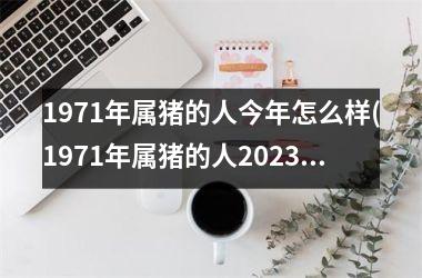 1971年属猪的人今年怎么样(1971年属猪的人2025年的运势及运程)