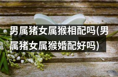 男属猪女属猴相配吗(男属猪女属猴婚配好吗)