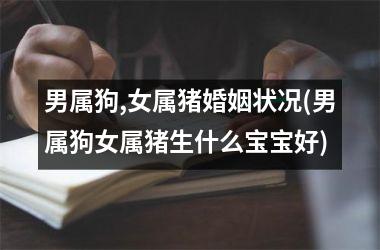 男属狗,女属猪婚姻状况(男属狗女属猪生什么宝宝好)