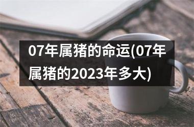 07年属猪的命运(07年属猪的2025年多大)