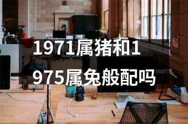 1971属猪和1975属兔般配吗