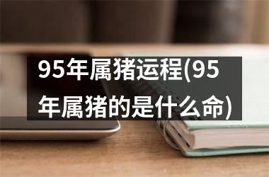 95年属猪运程(95年属猪的是什么命)