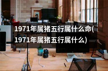 1971年属猪五行属什么命(1971年属猪五行属什么)