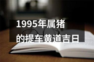 <h3>1995年属猪的提车黄道吉日