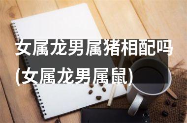 女属龙男属猪相配吗(女属龙男属鼠)