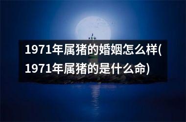 1971年属猪的婚姻怎么样(1971年属猪的是什么命)