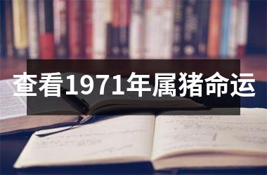 查看1971年属猪命运