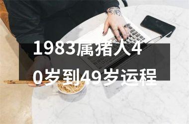 1983属猪人40岁到49岁运程