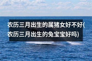 农历三月出生的属猪女好不好(农历三月出生的兔宝宝好吗)