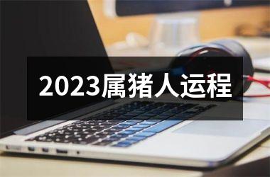2025属猪人运程