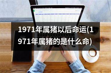 1971年属猪以后命运(1971年属猪的是什么命)