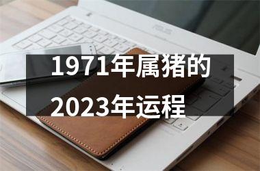 1971年属猪的2025年运程