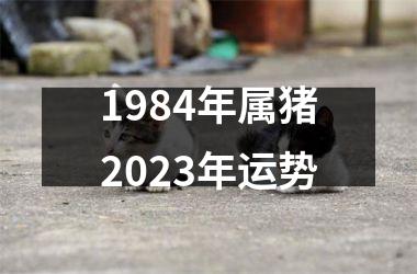 1984年属猪2025年运势