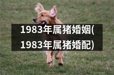 1983年属猪婚姻(1983年属猪婚配)