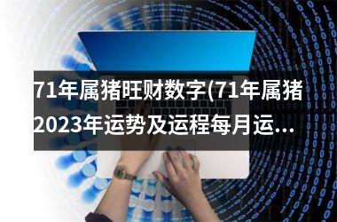 <h3>71年属猪旺财数字(71年属猪2025年运势及运程每月运程)