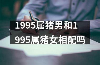1995属猪男和1995属猪女相配吗