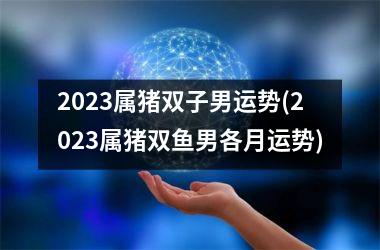 2025属猪双子男运势(2025属猪双鱼男各月运势)
