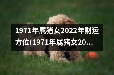 1971年属猪女2025年财运方位(1971年属猪女2025年运势及运程)